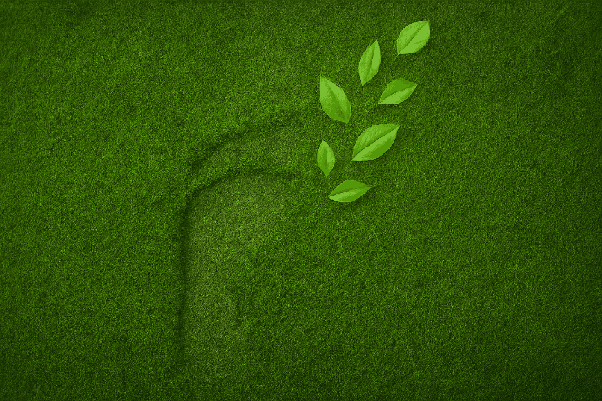 Huella de carbono ecológica sobre césped